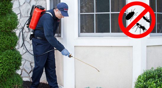 Koyulhisar Pire İlaçlama böcek ilaçlama ve haşere kontrolü — ilaclama-tr.com